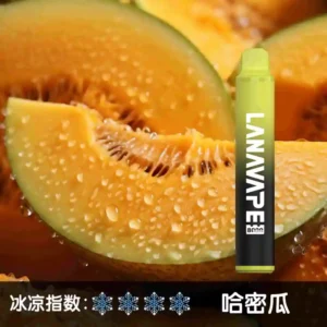 LANA ZOLT,一次性/拋棄式電子煙, 【哈密瓜】8000口大容量