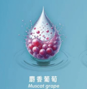 【麝香葡萄】SWAG電子煙煙彈2ml*3Pods 、買 5盒送主機、通用1代電子煙主機、多種口味選擇